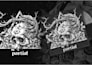 draw a detailed gothic line art and dark illustration